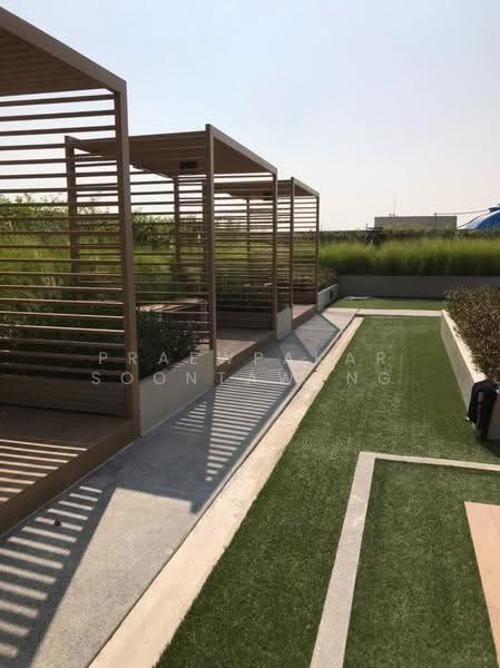 Cocoon Rama 9, Bangkok, Rama 9 Soi 57, Suan Luang, Bangkok, 1 Bedroom, 30 sqm, Condo For Rent, by Praewpakar Soontawong, 500524705 - DDproperty.com