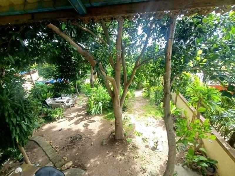 3-BR House, Chon Buri (Pattaya), Nong Pru, Bang Lamung (Pattaya), Chon Buri (Pattaya), 3 Bedrooms, 204 sqm, Single Detached House For Sale, by Nattasak Poosuwan, 500524731 - DDproperty.com