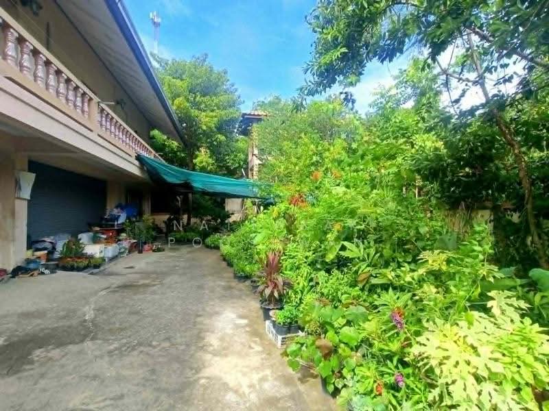 3-BR House, Chon Buri (Pattaya), Nong Pru, Bang Lamung (Pattaya), Chon Buri (Pattaya), 3 Bedrooms, 204 sqm, Single Detached House For Sale, by Nattasak Poosuwan, 500524731 - DDproperty.com