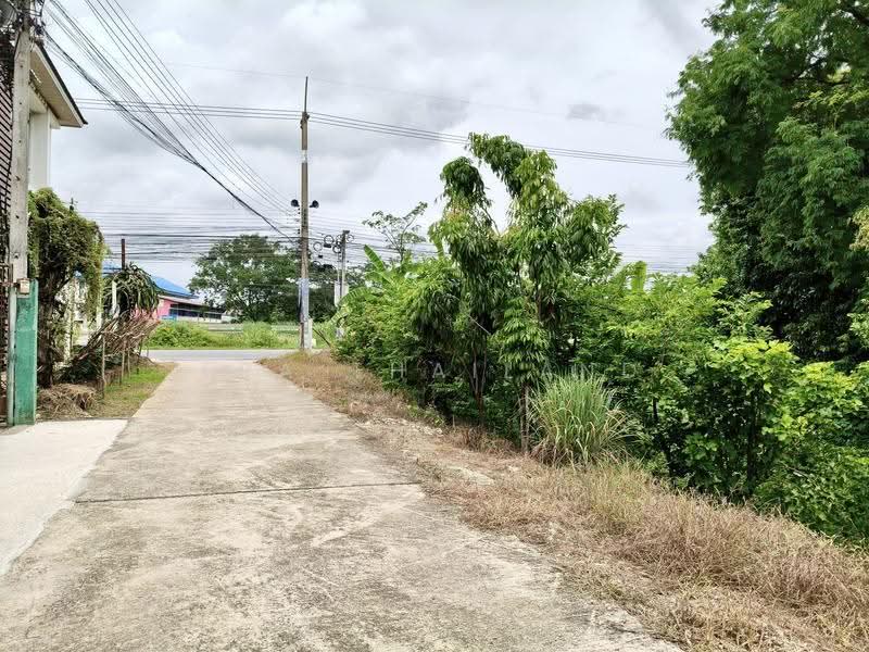 ที่ดินทำเลศักยภาพติดถนน เส้นบึงพระ ใกล้สนามบินพิษณุโลก, Phitsanulok, Wat Chan, Muang Phitsanulok, Phitsanulok, , 5,016 sqm, Land For Sale, by ERA Thailand, 500524738 - DDproperty.com
