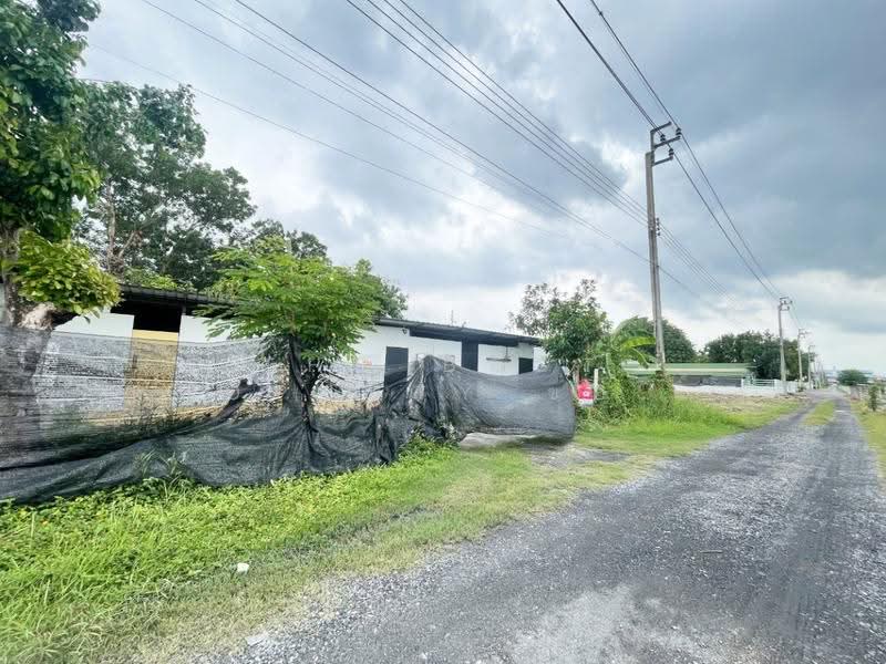 ที่ดินคลองสามวา กรุงเทพมหานคร, Bangkok, Sam Wa Tawan Tok, Khlong Sam Wa, Bangkok, , 1,600 sqm, Land For Sale, by The Best Property ของขวัญ, 500524747 - DDproperty.com