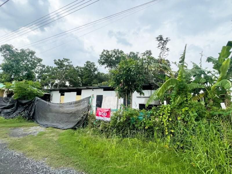 ที่ดินคลองสามวา กรุงเทพมหานคร, Bangkok, Sam Wa Tawan Tok, Khlong Sam Wa, Bangkok, , 1,600 sqm, Land For Sale, by The Best Property ของขวัญ, 500524747 - DDproperty.com
