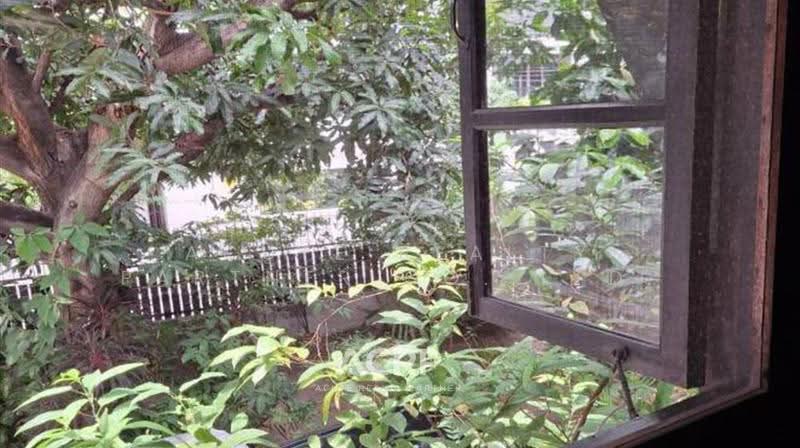 Single House for Sale in the Heart of Ekkamai | Large Private Garden on 97 sq.w., bangkok, Khlong Tan Nua, Watthana, Bangkok, 3 Bedrooms, 388 sqm, Single Detached House For Sale, by Acute Realty Partner Co.,Ltd., 500524815 - DDproperty.com