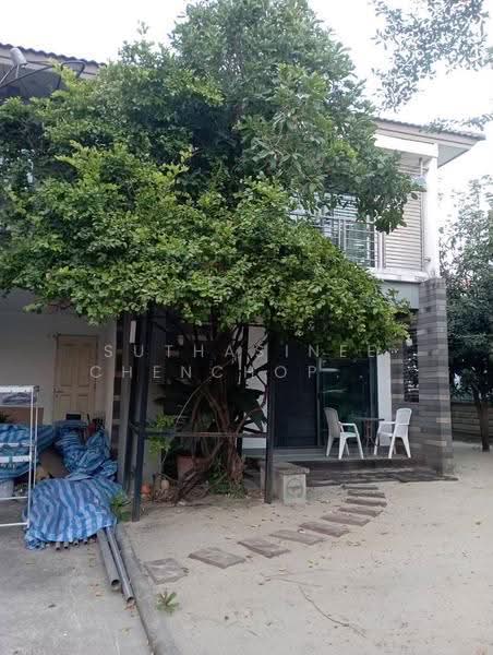 Habitia Panyaintra 2 : ฮาบิเทีย ปัญญาอินทรา 2, กรุงเทพ, ถนนปัญญาอินทรา, สามวาตะวันตก, คลองสามวา, กรุงเทพ, 204 ตร.ม., บ้านเดี่ยว ขาย, โดย Suthasinee Chenchopching, 500524890 - DDproperty.com
