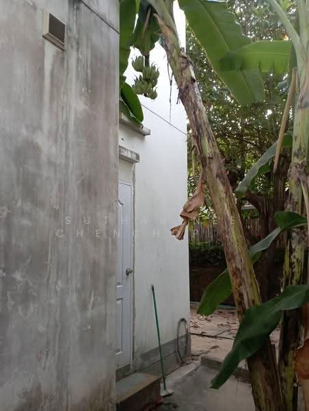 Habitia Panyaintra 2, Bangkok, Panya Inthra Road, Sam Wa Tawan Tok, Khlong Sam Wa, Bangkok, 3 Bedrooms, 204 sqm, Single Detached House For Sale, by Suthasinee Chenchopching, 500524890 - DDproperty.com