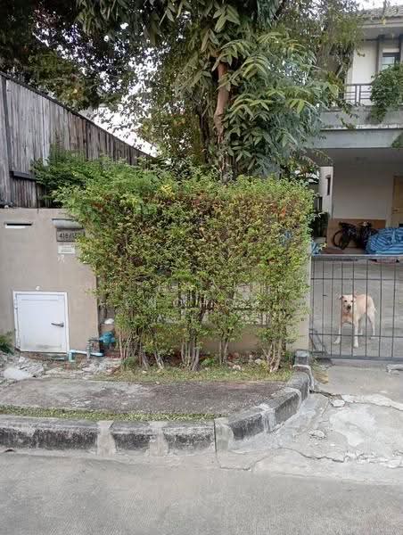 Habitia Panyaintra 2, Bangkok, Panya Inthra Road, Sam Wa Tawan Tok, Khlong Sam Wa, Bangkok, 3 Bedrooms, 204 sqm, Single Detached House For Sale, by Suthasinee Chenchopching, 500524890 - DDproperty.com