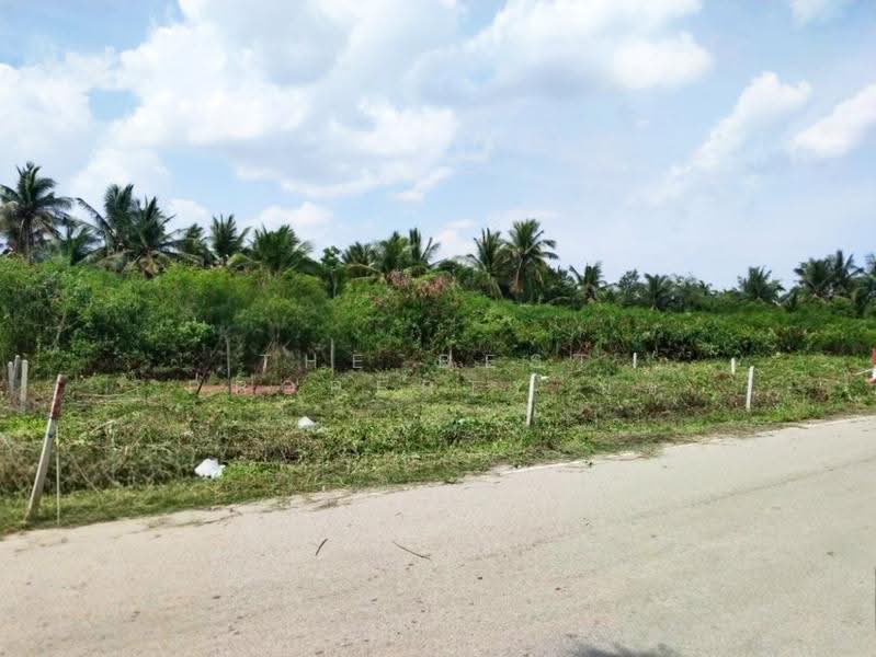 ที่ดินลาดใหญ่ สมุทรสงคราม, Samut Songkhram, Lat Yai, Muang Samut Songkhram, Samut Songkhram, , 1,874 sqm, Land For Sale, by The Best Property นุช, 500524913 - DDproperty.com