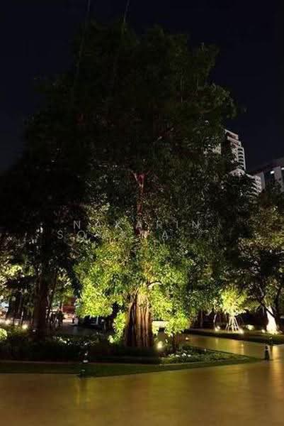 ASHTON Asoke, Bangkok, 131 Asoke Montri Road, Khlongtoei Nua, Watthana, Bangkok, 1 Bedroom, 36 sqm, Condo For Rent, by Nakarin Sookpaiboon, 500524914 - DDproperty.com