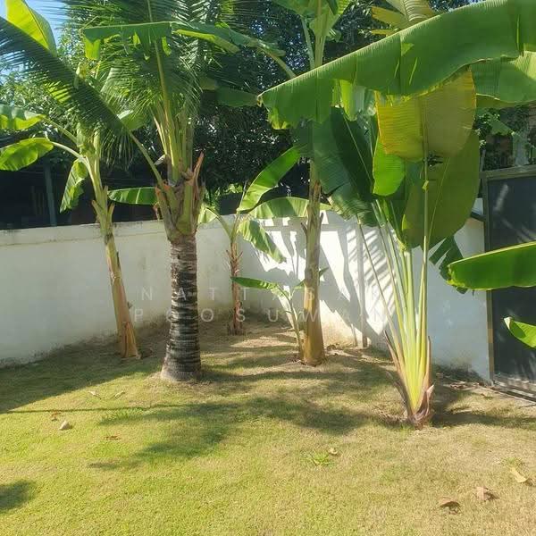 3-BR House, Chon Buri (Pattaya), Huai Yai, Bang Lamung (Pattaya), Chon Buri (Pattaya), 3 Bedrooms, 165 sqm, Single Detached House For Sale, by Nattasak Poosuwan, 500524936 - DDproperty.com