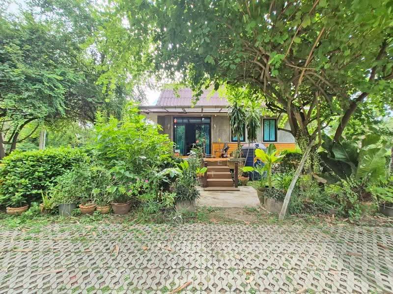 บ้านเดี่ยวพร้อมที่ดินอัมพวา สมุทรสงคราม, Samut Songkhram, Plai Phongphang, Amphawa, Samut Songkhram, 2 Bedrooms, 100 sqm, Single Detached House For Sale, by The Best Property อิ๋ว, 500525030 - DDproperty.com