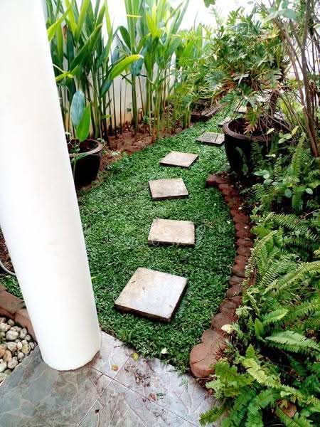 Life Garden Home (Rong Po) : ไลฟ์ การ์เด้น โฮม (โรงโป๊ะ), ชลบุรี, ตะเคียนเตี้ย, บางละมุง, ชลบุรี, 160 ตร.ม., บ้านเดี่ยว ขาย, โดย Harrison Chong, 500525082 - DDproperty.com