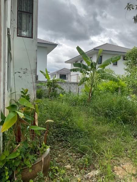บ้านเดี่ยวพร้อมที่ดินบางใหญ่ นนทบุรี, นนทบุรี, บ้านใหม่, บางใหญ่, นนทบุรี, 150 ตร.ม., บ้านเดี่ยว ขาย, โดย The Best Property จิ๊บ, 500525128 - DDproperty.com