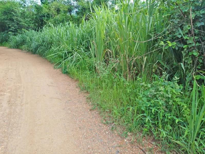ที่ดินโพทะเล พิจิตร, Phichit, Thai Nam, Pho Thale, Phichit, , 3,156 sqm, Land For Sale, by The Best Property อ้อ, 500525275 - DDproperty.com