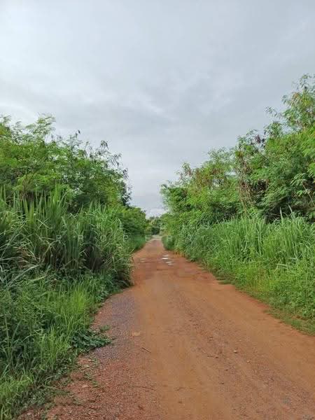 ที่ดินโพทะเล พิจิตร, พิจิตร, ท้ายน้ำ, โพทะเล, พิจิตร, 3,156 ตร.ม., ที่ดิน ขาย, โดย The Best Property อ้อ, 500525275 - DDproperty.com