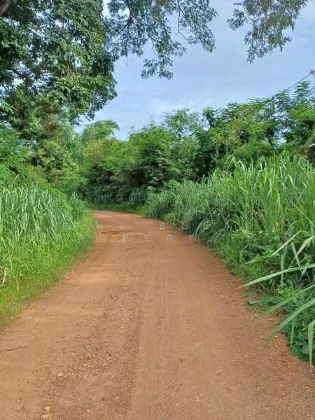 ที่ดินโพทะเล พิจิตร, พิจิตร, ท้ายน้ำ, โพทะเล, พิจิตร, 3,156 ตร.ม., ที่ดิน ขาย, โดย The Best Property อ้อ, 500525275 - DDproperty.com