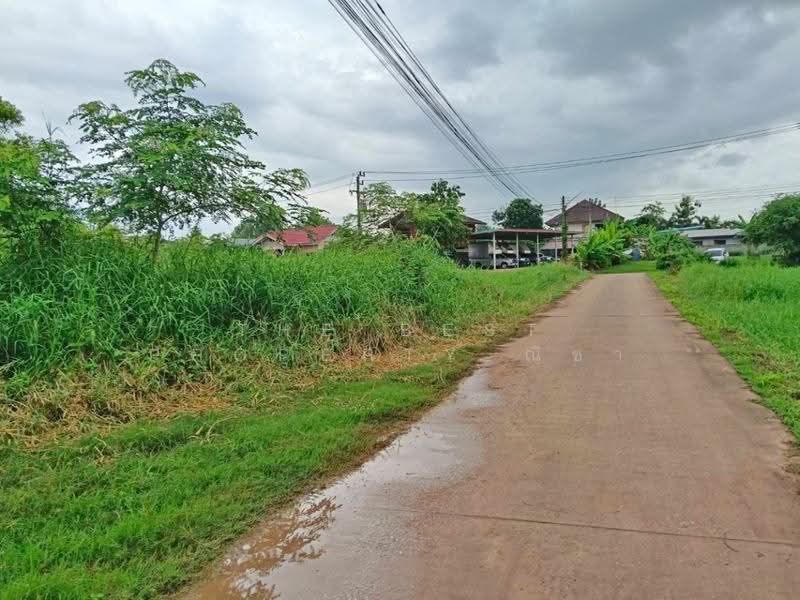 ที่ดินสมอแข พิษณุโลก, Phitsanulok, Samo Khae, Muang Phitsanulok, Phitsanulok, , 600 sqm, Land For Sale, by The Best Property ณิชา, 500525298 - DDproperty.com