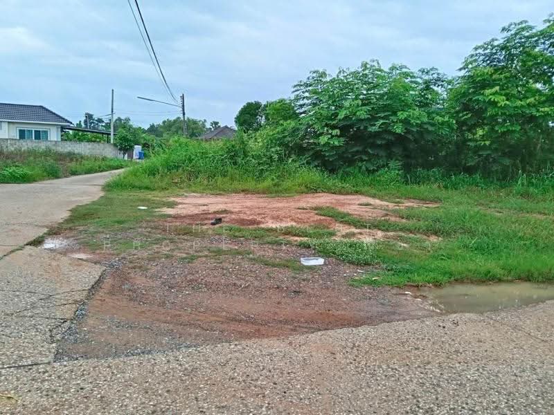 ที่ดินสมอแข พิษณุโลก, Phitsanulok, Samo Khae, Muang Phitsanulok, Phitsanulok, , 600 sqm, Land For Sale, by The Best Property ณิชา, 500525298 - DDproperty.com