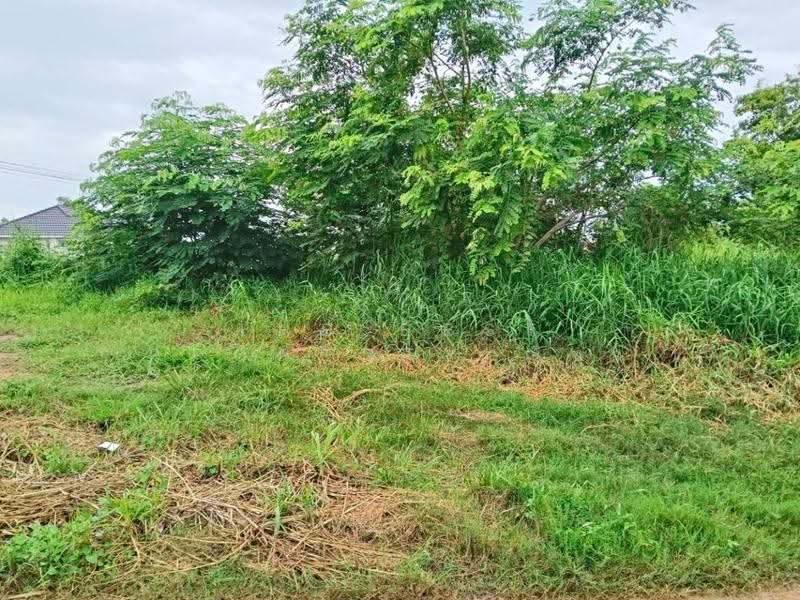 ที่ดินสมอแข พิษณุโลก, Phitsanulok, Samo Khae, Muang Phitsanulok, Phitsanulok, , 600 sqm, Land For Sale, by The Best Property ณิชา, 500525298 - DDproperty.com