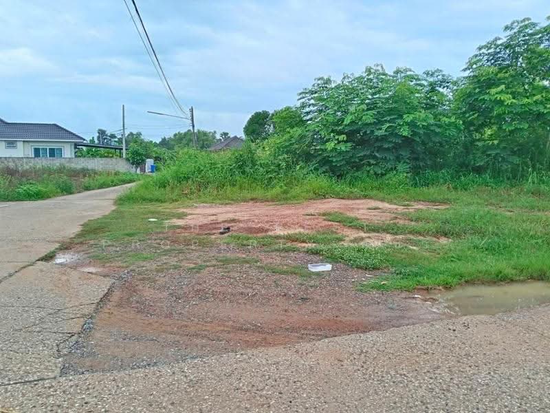 ที่ดินสมอแข พิษณุโลก, Phitsanulok, Samo Khae, Muang Phitsanulok, Phitsanulok, , 600 sqm, Land For Sale, by The Best Property ณิชา, 500525298 - DDproperty.com