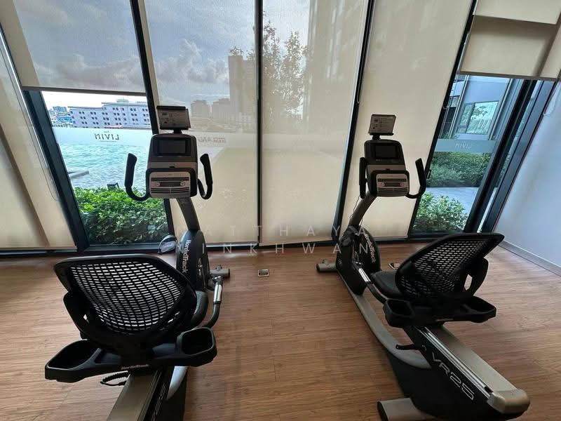 The LIVIN Ramkhamhaeng, Bangkok, Ramkhamhaeng Road, Hua Mak, Bang Kapi, Bangkok, 1 Bedroom, 23 sqm, Condo For Rent, by Natthaya Ninkhwan, 500525527 - DDproperty.com