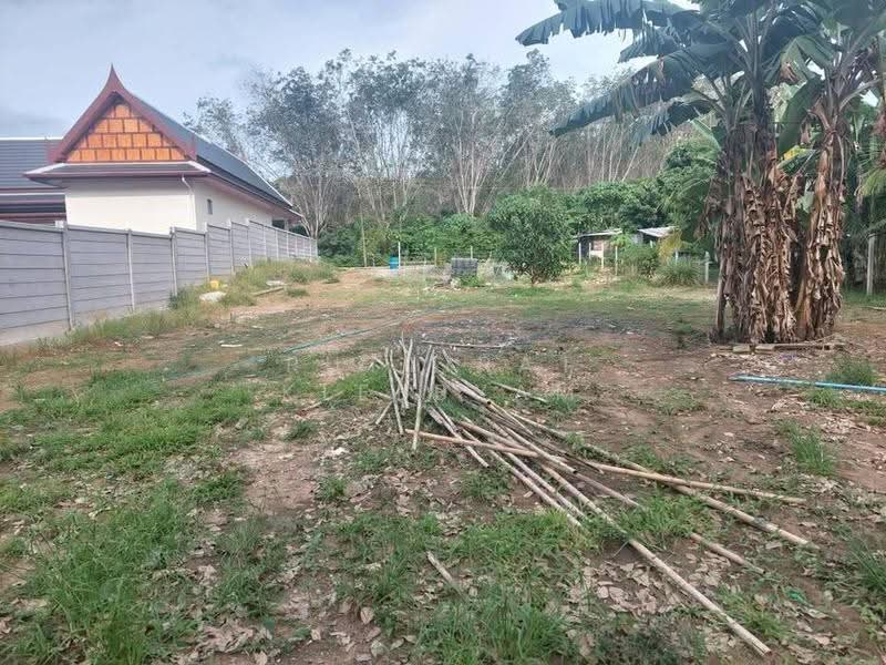1-BR House, Phuket, Sri Sunthon, Thalang, Phuket, 1 Bedroom, 950 sqm, Single Detached House For Sale, by Puttirat Kleebyam, 500525555 - DDproperty.com