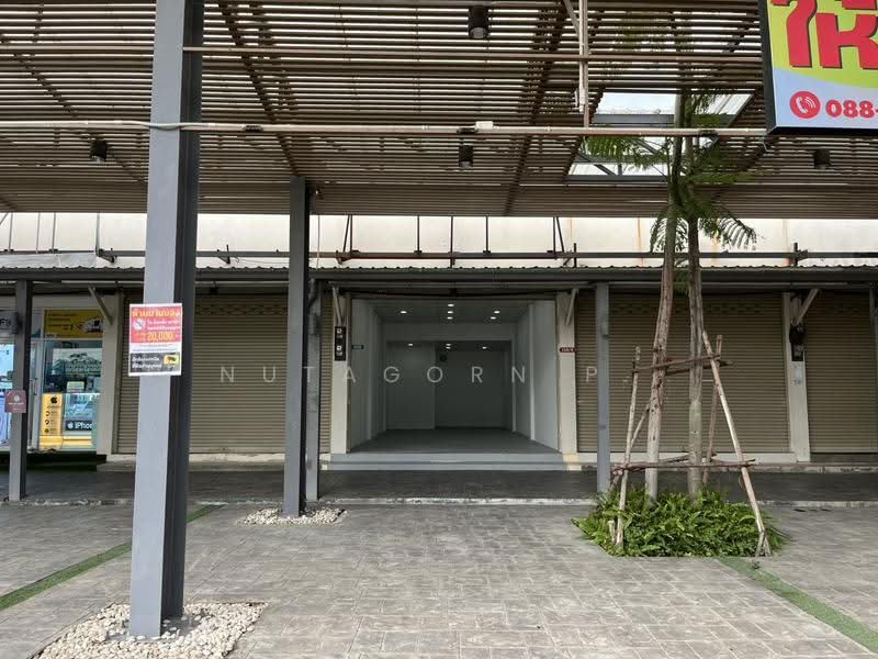 ROICHANG AVENUE, Samut Prakan, หนามแดง-บางพลี, Bangphli Yai, Bang Plee, Samut Prakan, , 48 sqm, Shophouse For Rent, by Nutagorn P., 500525588 - DDproperty.com