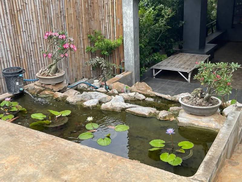 The Rock @ Pakchong KaoYai, Nakhon Ratchasima, Khlong Muang, Pak Chong, Nakhon Ratchasima, 3 Bedrooms, 300 sqm, Single Detached House For Sale, by Tippawan Charoengam, 500525648 - DDproperty.com