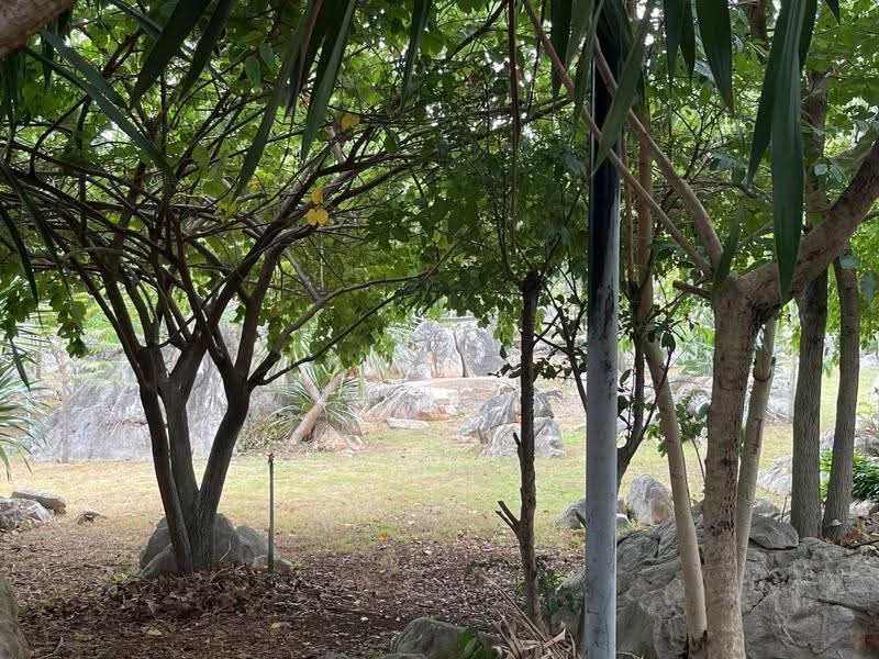 The Rock @ Pakchong KaoYai, Nakhon Ratchasima, Khlong Muang, Pak Chong, Nakhon Ratchasima, 3 Bedrooms, 300 sqm, Single Detached House For Sale, by Tippawan Charoengam, 500525648 - DDproperty.com
