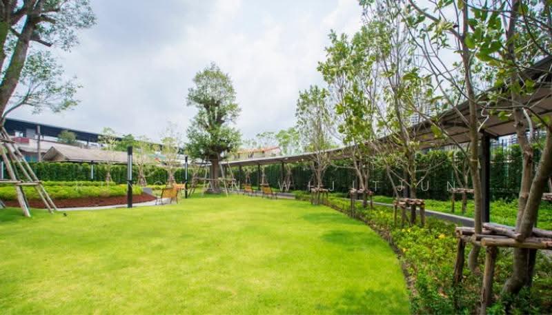 Rich Park @ Triple Station, Bangkok, 591 Srinakarin Road, Suan Luang, Bangkok, 1 Bedroom, 27 sqm, Condo For Sale, by Rungkan Wijitjun, 500525663 - DDproperty.com