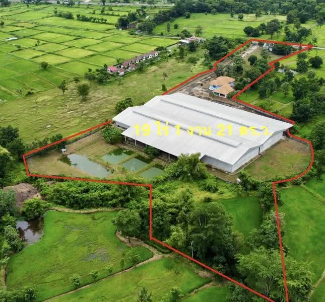 โกดัง,โรงงาน วารินชำราบ อุบล 19-1-21 ตร.ว. (มี ร.ง4), Ubon Ratchathani, สีคิ้ว-อุบลราชธานี (24), Muang Si Kai, Warin Chamrap, Ubon Ratchathani, , 7,800 sqm, Warehouse/Factory For Sale, by Wasan Wasati, 500525696 - DDproperty.com