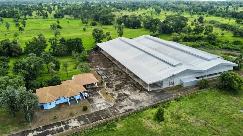โกดัง,โรงงาน วารินชำราบ อุบล 19-1-21 ตร.ว. (มี ร.ง4), Ubon Ratchathani, สีคิ้ว-อุบลราชธานี (24), Muang Si Kai, Warin Chamrap, Ubon Ratchathani, , 7,800 sqm, Warehouse/Factory For Sale, by Wasan Wasati, 500525696 - DDproperty.com