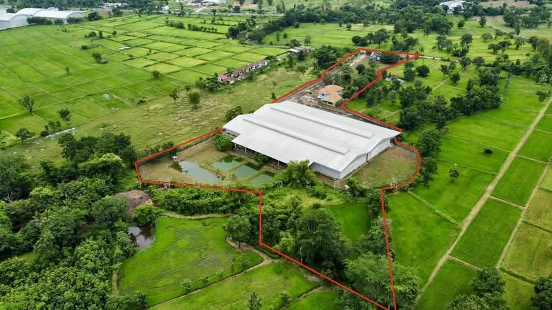 โกดัง,โรงงาน วารินชำราบ อุบล 19-1-21 ตร.ว. (มี ร.ง4), Ubon Ratchathani, สีคิ้ว-อุบลราชธานี (24), Muang Si Kai, Warin Chamrap, Ubon Ratchathani, , 7,800 sqm, Warehouse/Factory For Sale, by Wasan Wasati, 500525696 - DDproperty.com