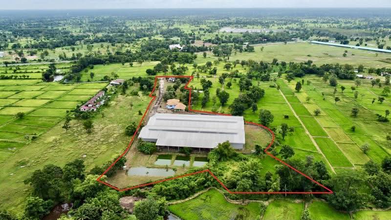 โกดัง,โรงงาน วารินชำราบ อุบล 19-1-21 ตร.ว. (มี ร.ง4), Ubon Ratchathani, สีคิ้ว-อุบลราชธานี (24), Muang Si Kai, Warin Chamrap, Ubon Ratchathani, , 7,800 sqm, Warehouse/Factory For Sale, by Wasan Wasati, 500525696 - DDproperty.com