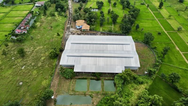 โกดัง,โรงงาน วารินชำราบ อุบล 19-1-21 ตร.ว. (มี ร.ง4), Ubon Ratchathani, สีคิ้ว-อุบลราชธานี (24), Muang Si Kai, Warin Chamrap, Ubon Ratchathani, , 7,800 sqm, Warehouse/Factory For Sale, by Wasan Wasati, 500525696 - DDproperty.com