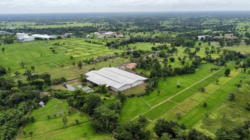 โกดัง,โรงงาน วารินชำราบ อุบล 19-1-21 ตร.ว. (มี ร.ง4), Ubon Ratchathani, สีคิ้ว-อุบลราชธานี (24), Muang Si Kai, Warin Chamrap, Ubon Ratchathani, , 7,800 sqm, Warehouse/Factory For Sale, by Wasan Wasati, 500525696 - DDproperty.com