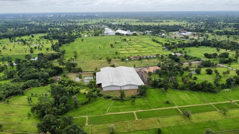โกดัง,โรงงาน วารินชำราบ อุบล 19-1-21 ตร.ว. (มี ร.ง4), Ubon Ratchathani, สีคิ้ว-อุบลราชธานี (24), Muang Si Kai, Warin Chamrap, Ubon Ratchathani, , 7,800 sqm, Warehouse/Factory For Sale, by Wasan Wasati, 500525696 - DDproperty.com
