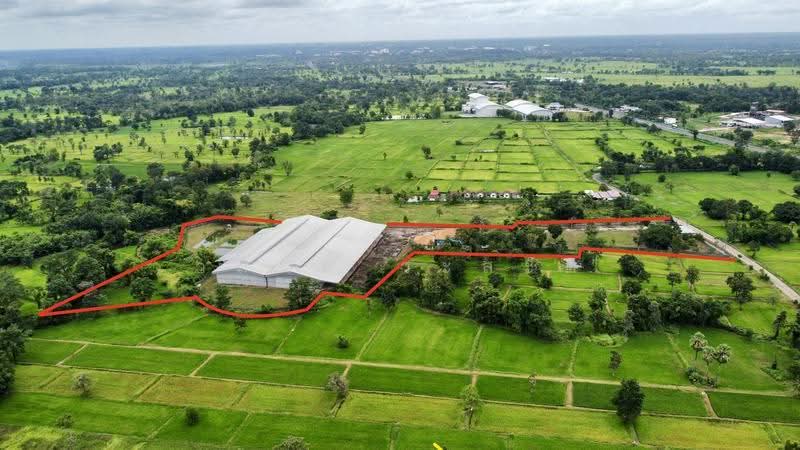 โกดัง,โรงงาน วารินชำราบ อุบล 19-1-21 ตร.ว. (มี ร.ง4), Ubon Ratchathani, สีคิ้ว-อุบลราชธานี (24), Muang Si Kai, Warin Chamrap, Ubon Ratchathani, , 7,800 sqm, Warehouse/Factory For Sale, by Wasan Wasati, 500525696 - DDproperty.com