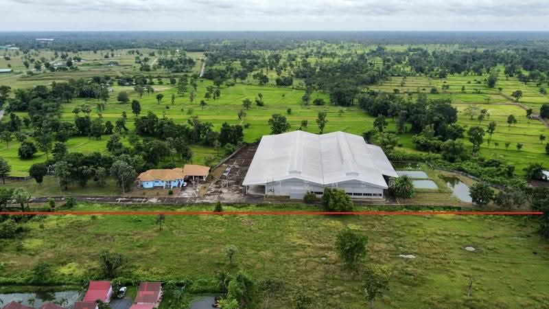 โกดัง,โรงงาน วารินชำราบ อุบล 19-1-21 ตร.ว. (มี ร.ง4), Ubon Ratchathani, สีคิ้ว-อุบลราชธานี (24), Muang Si Kai, Warin Chamrap, Ubon Ratchathani, , 7,800 sqm, Warehouse/Factory For Sale, by Wasan Wasati, 500525696 - DDproperty.com