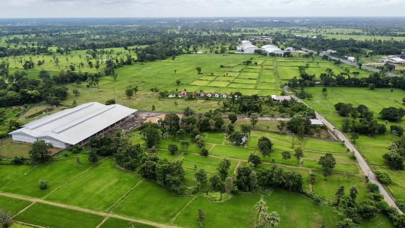 โกดัง,โรงงาน วารินชำราบ อุบล 19-1-21 ตร.ว. (มี ร.ง4), Ubon Ratchathani, สีคิ้ว-อุบลราชธานี (24), Muang Si Kai, Warin Chamrap, Ubon Ratchathani, , 7,800 sqm, Warehouse/Factory For Sale, by Wasan Wasati, 500525696 - DDproperty.com