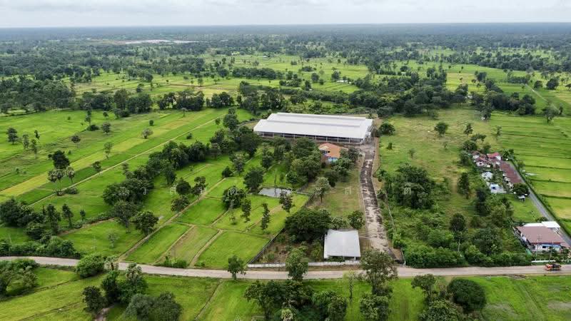 โกดัง,โรงงาน วารินชำราบ อุบล 19-1-21 ตร.ว. (มี ร.ง4), Ubon Ratchathani, สีคิ้ว-อุบลราชธานี (24), Muang Si Kai, Warin Chamrap, Ubon Ratchathani, , 7,800 sqm, Warehouse/Factory For Sale, by Wasan Wasati, 500525696 - DDproperty.com