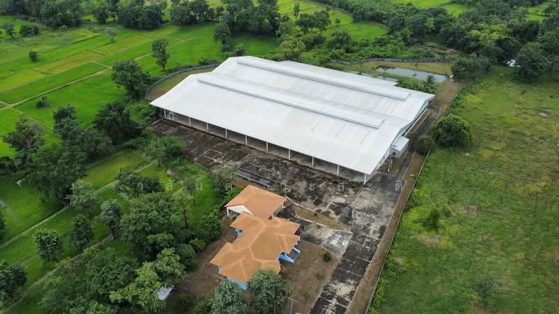 โกดัง,โรงงาน วารินชำราบ อุบล 19-1-21 ตร.ว. (มี ร.ง4), Ubon Ratchathani, สีคิ้ว-อุบลราชธานี (24), Muang Si Kai, Warin Chamrap, Ubon Ratchathani, , 7,800 sqm, Warehouse/Factory For Sale, by Wasan Wasati, 500525696 - DDproperty.com