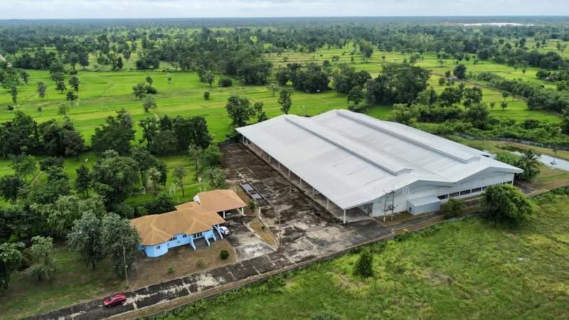 โกดัง,โรงงาน วารินชำราบ อุบล 19-1-21 ตร.ว. (มี ร.ง4), Ubon Ratchathani, สีคิ้ว-อุบลราชธานี (24), Muang Si Kai, Warin Chamrap, Ubon Ratchathani, , 7,800 sqm, Warehouse/Factory For Sale, by Wasan Wasati, 500525696 - DDproperty.com
