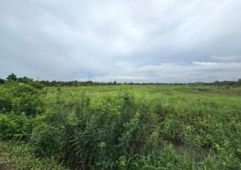 ที่ดินบางคล้า ฉะเชิงเทรา, Chachoengsao, Pak Nam, Bang Khla, Chachoengsao, , 39,516 sqm, Land For Sale, by The Best Property รุ้ง, 500525760 - DDproperty.com
