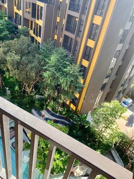 The Base Central, Phuket, Chao Fah Tawan Tok Rd, Wichit, Muang Phuket, Phuket, 1 Bedroom, 31 sqm, Condo For Sale, by Puttirat Kleebyam, 500525825 - DDproperty.com