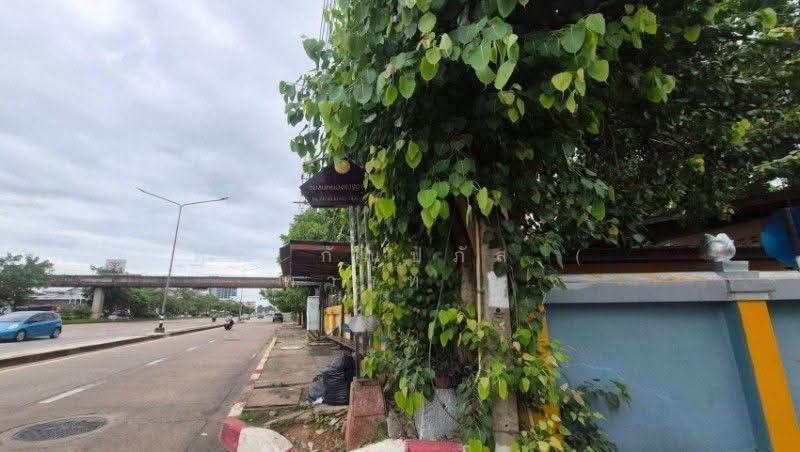 บ้านเดี่ยว ชุมชนหนองแวงตราชู 4 ใกล้เซ็นทรัล ขอนแก่น แคมปัส ราคาถูกมาก, ขอนแก่น, มิตรภาพ, ในเมือง, เมืองขอนแก่น, ขอนแก่น, 232 ตร.ม., บ้านเดี่ยว ขาย, โดย คุณ กัณปภัส ( พาร์ท ), 500525947 - DDproperty.com
