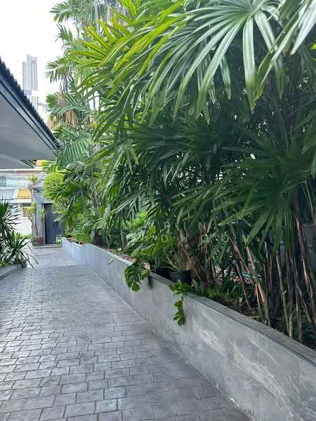 Thonglor pool villa, กรุงเทพ, คลองตันเหนือ, วัฒนา, กรุงเทพ, 800 ตร.ม., บ้านเดี่ยว ให้เช่า, โดย Amarin Sitthidhoon, 500526064 - DDproperty.com
