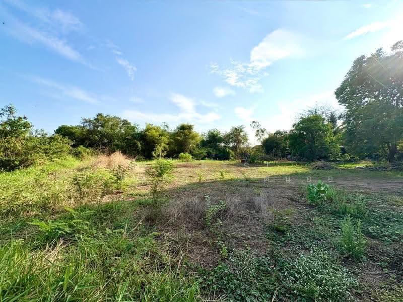 ที่ดินตาคลี นครสวรรค์, นครสวรรค์, ตาคลี, นครสวรรค์, 2,656 ตร.ม., ที่ดิน ขาย, โดย The Best Property ต้นอ้อ, 500526072 - DDproperty.com
