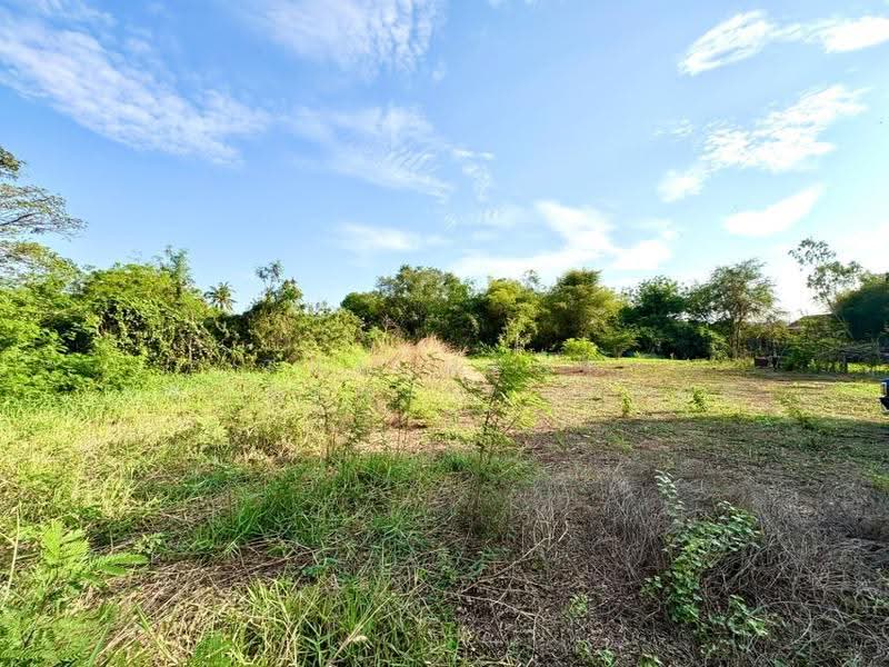 ที่ดินตาคลี นครสวรรค์, นครสวรรค์, ตาคลี, นครสวรรค์, 2,656 ตร.ม., ที่ดิน ขาย, โดย The Best Property ต้นอ้อ, 500526072 - DDproperty.com
