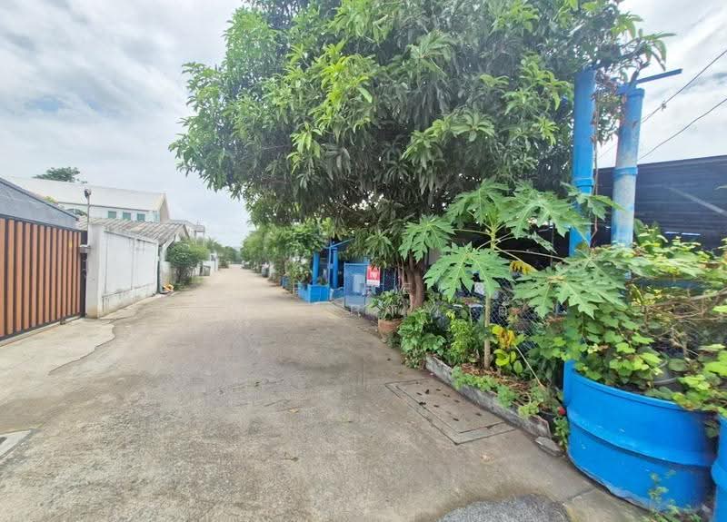 บ้านเดี่ยวบางกะปิ กรุงเทพมหานคร, Bangkok, Khlong Chan, Bang Kapi, Bangkok, 4 Bedrooms, 100 sqm, Single Detached House For Sale, by The Best Property ตั๊ก, 500526089 - DDproperty.com