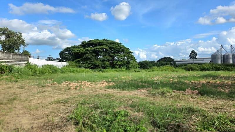 ที่ดินดงลาน ร้อยเอ็ด, Roi Et, Dong Lan, Muang Roi Et, Roi Et, , 4,318 sqm, Land For Sale, by The Best Property  ทองใบ, 500526094 - DDproperty.com